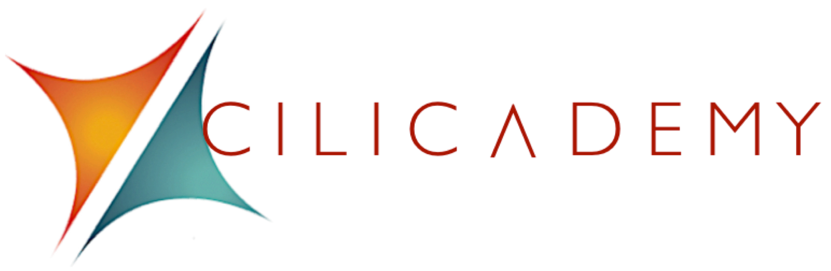 cilicademy logo